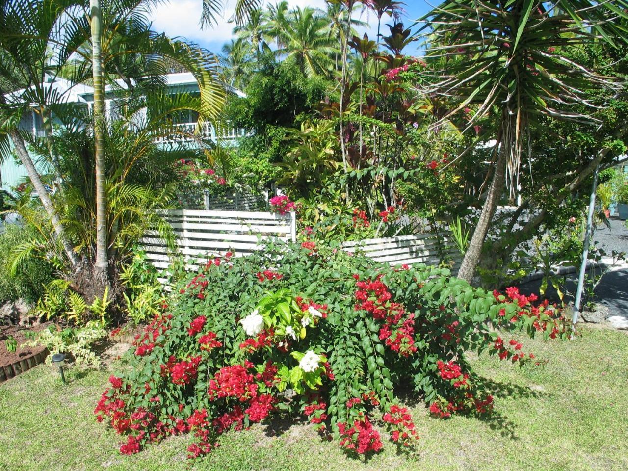 Sunhaven Beach Bungalows (Adults Only) Rarotonga Luaran gambar